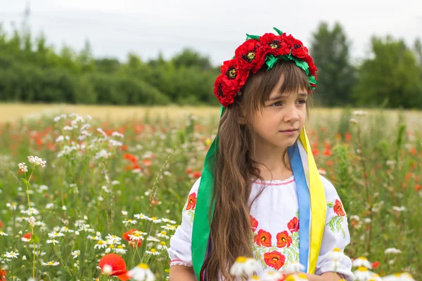 Little girl in Ukrainian national costume collect wild flowers — Stock Photo, Image