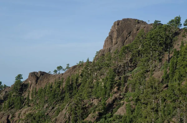Morro del Visadero dans la réserve naturelle intégrale d'Inagua. — Photo