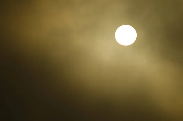 이나 과에 있는 통합 자연 보호 지역에서 새벽에 안개 속에 떠 있는 태양. — 스톡 사진