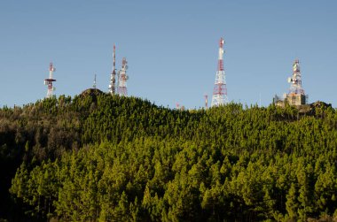 Kanarya adası çamı ormanındaki telekomünikasyon antenleri.