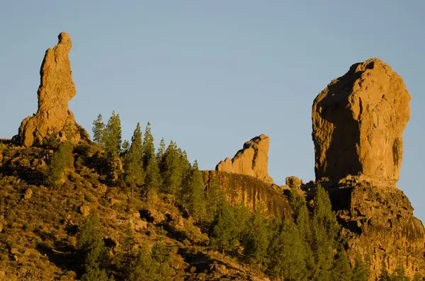 El Fraile, La Rana és Roque Nublo sziklái balról jobbra. — Stock Fotó