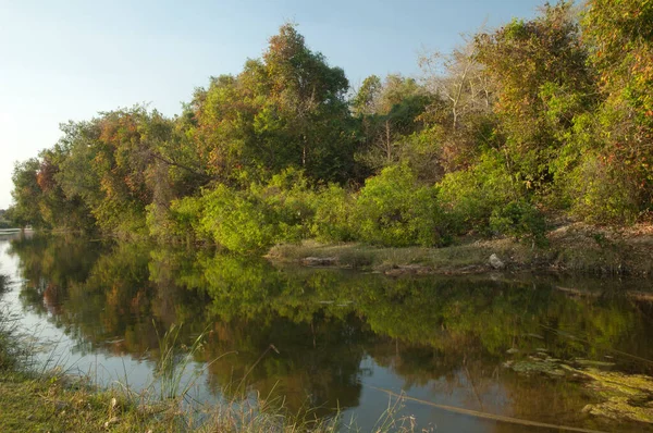 Hiran nehri Sasan 'dan geçerken. Gir Sığınağı. Gujarat. Hindistan.
