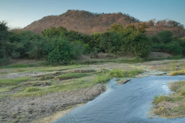 Hiran Nehri Sasan Dan Geçerken Gir Sığınağı Gujarat Hindistan — Stok fotoğraf