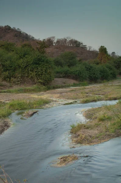 Rivière Hiran Traverse Sasan Sanctuaire Gir Gujarat Inde — Photo