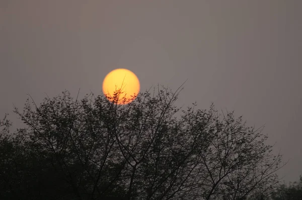 バラトゥプルのケオラデオ・ガーナ国立公園の夕日. — ストック写真