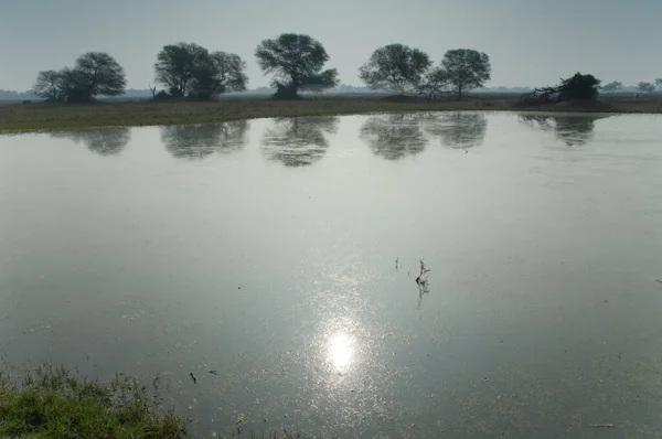 Reflectie van de zon op een vijver. — Stockfoto