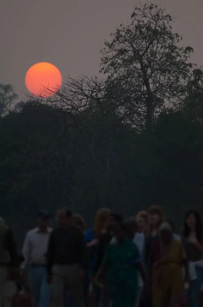 Západ slunce nad lesem a chůze lidí. — Stock fotografie