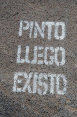 Bir kayanın üzerindeki graffiti: Boyuyorum öyleyse varım.