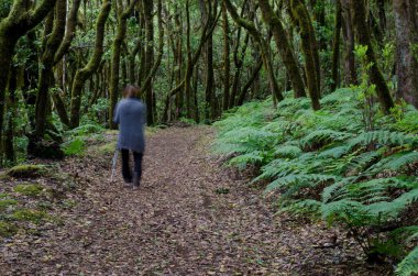 Defne ormanında yürüyen bir kadın..