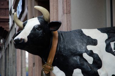 San Cristobal de La Laguna 'da bir inek heykeli.