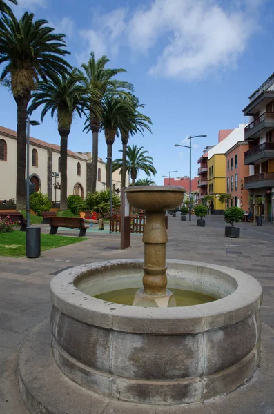 Fontaine sur la place Docteur Olivera de San Cristobal de La Laguna. — Photo