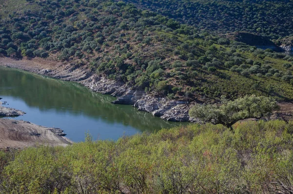 Torrejon Tietar víztározó és mediterrán erdő. — Stock Fotó