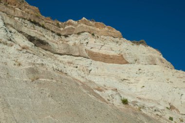 Cape Kaçıran Sümsük Kuşları Koruma Alanındaki Deniz Uçurumu.