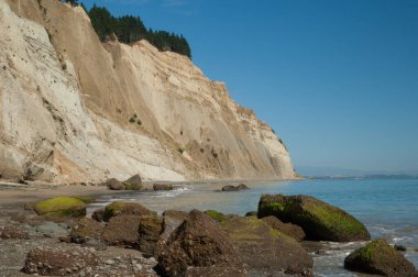 Cape Kaçıran Sümsük Kuşları Barınağı 'ndaki kıyı manzarası.