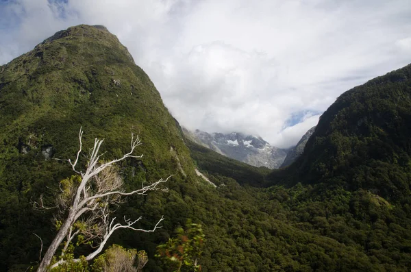 Landskap i Fiordlands nationalpark. — Stockfoto