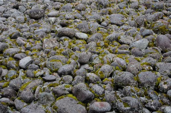 Piedras y musgo. —  Fotos de Stock