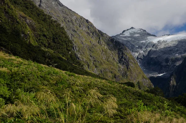 Landschaft im Fiordland Nationalpark. — Stockfoto