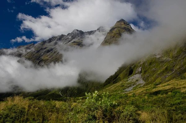 Landschaft im Fiordland Nationalpark. — Stockfoto