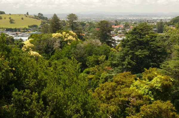 Mount Eden in de stad Auckland. — Stockfoto