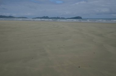 Mason Körfezi 'ndeki sahil.