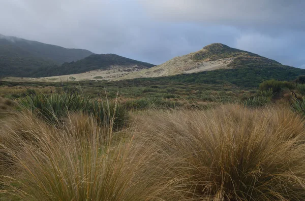 Landschaft in Mason Bay. — Stockfoto