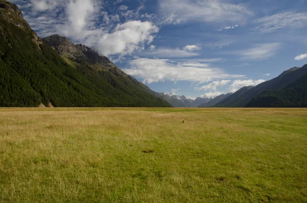 Erlington Valley im Fiordland National Park. — Stockfoto