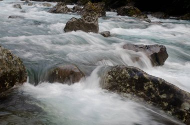 Fiordland Ulusal Parkı 'ndaki Falls deresi.