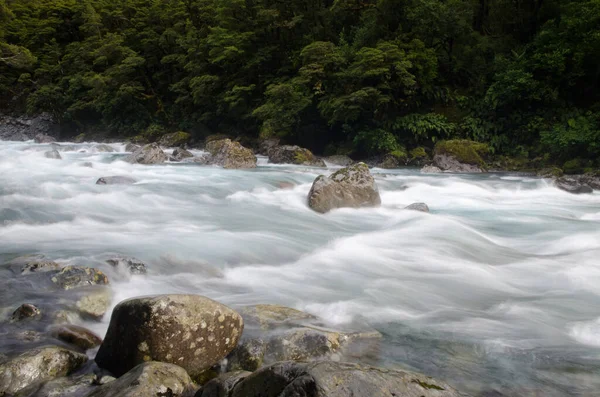 Ruisseau Falls dans le parc national Fiordland. — Photo