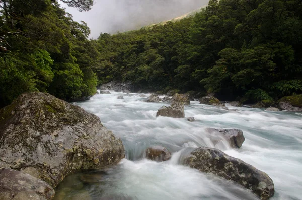 Falls Creek w Parku Narodowym Fiordland. — Zdjęcie stockowe