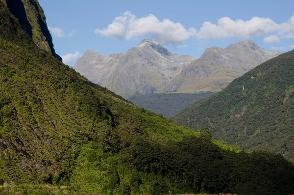 Landskap i Fiordlands nationalpark. — Stockfoto