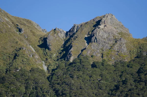 Montaña en el Parque Nacional Fiordland. — Foto de Stock