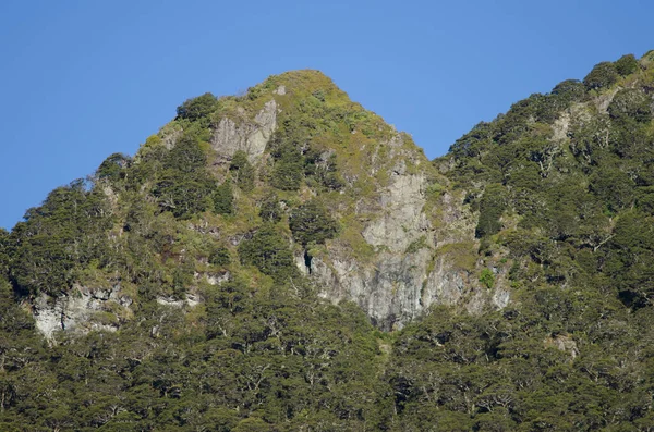 Fiordland国家公园的山脉. — 图库照片
