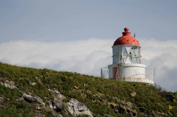 Lighthouse in Taiaroa Head Wildlife Reserve. — Stock Photo, Image