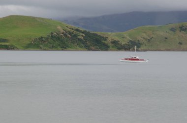 Otago Limanı 'ndaki yat..