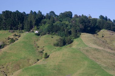 Otago Yarımadası 'ndaki manzara.