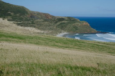 Sandfly Körfezi 'ndeki manzara.