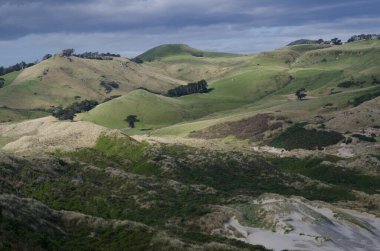 Otago Yarımadası 'ndaki manzara.