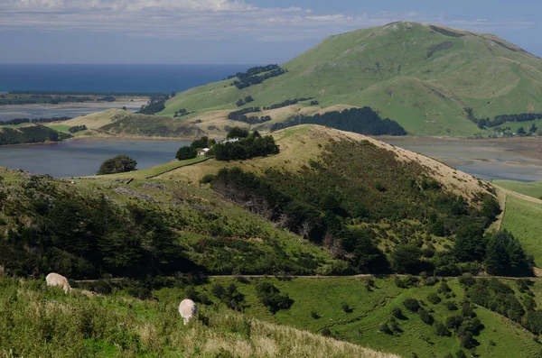 Landschaft auf der Halbinsel Otago. — Stockfoto
