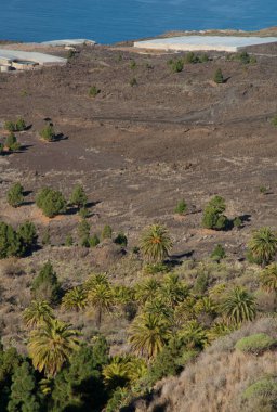 Tamanca Koruma Arazisi 'ndeki manzara. La Palma. Kanarya Adaları. İspanya.
