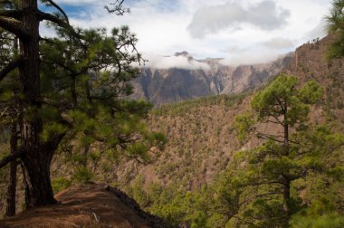 Caldera de Taburiente Ulusal Parkı 'nın volkanik krateri. La Palma. Kanarya Adaları. İspanya.