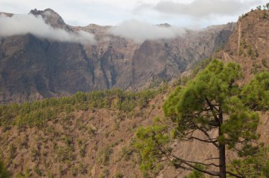 Caldera de Taburiente Ulusal Parkı 'nın volkanik krateri. La Palma. Kanarya Adaları. İspanya.
