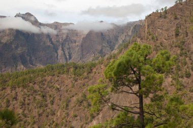 Caldera de Taburiente Ulusal Parkı 'nın volkanik krateri. La Palma. Kanarya Adaları. İspanya.