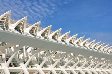 Prens Felipe Bilim Müzesi 'nin detayları. Sanat ve Bilim Şehri 'nde. Valencia. İspanya.