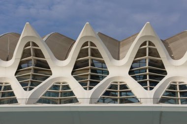 Prens Felipe Bilim Müzesi 'nin detayları. Sanat ve Bilim Şehri 'nde. Valencia. İspanya.