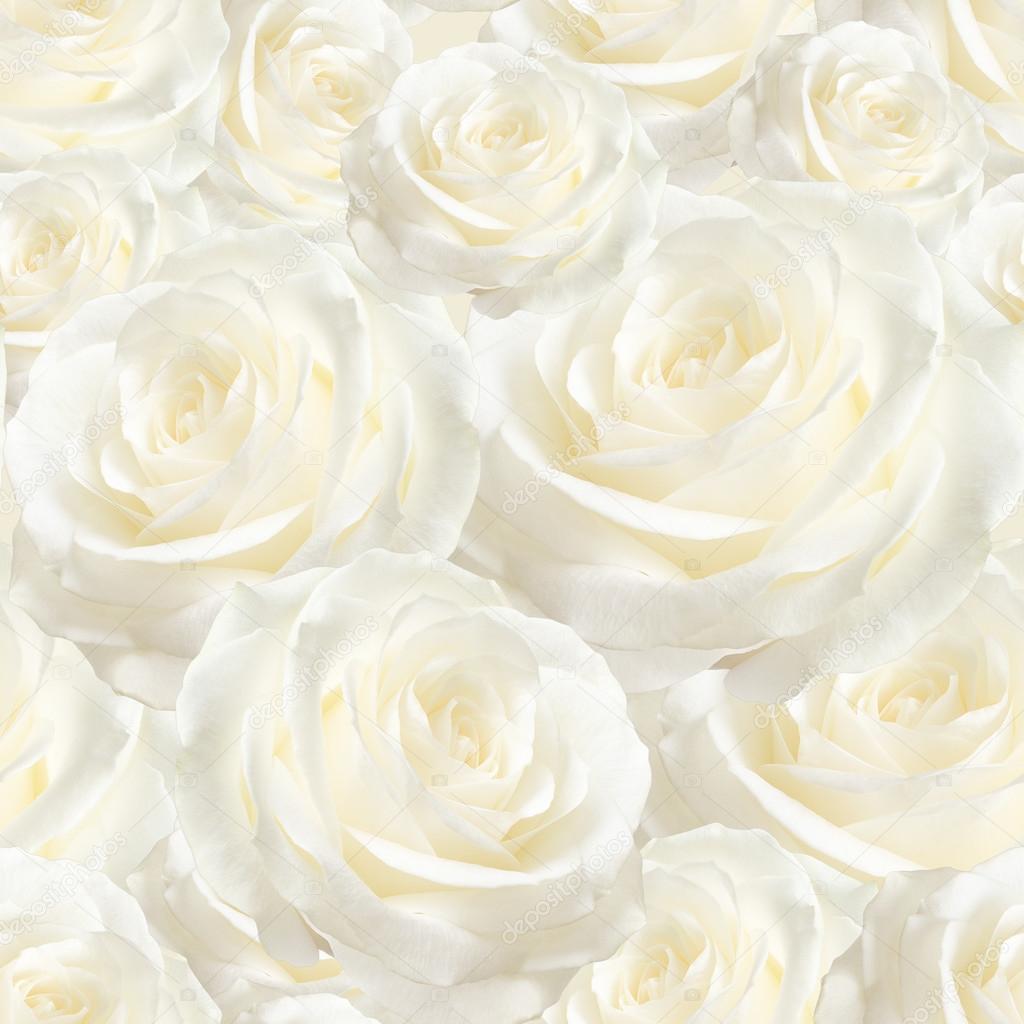 elegant white seamless pattern luxurious rose