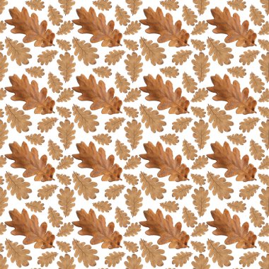 desen eski kuru sarı sonbahar meşe yaprakları