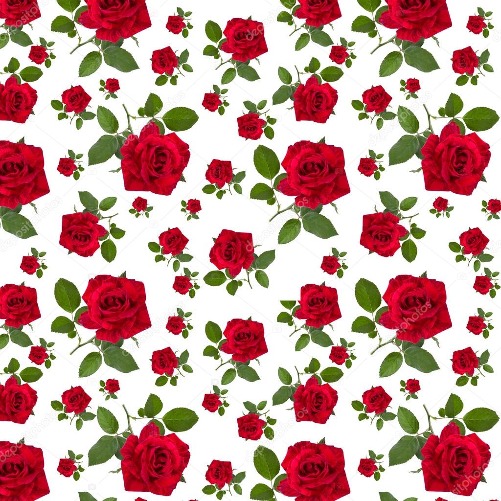  pattern red rose on a stalk of green leaves