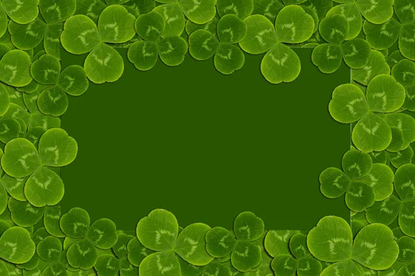 Frame laat clover klaverbladknoop shamrock patroon — Stockfoto