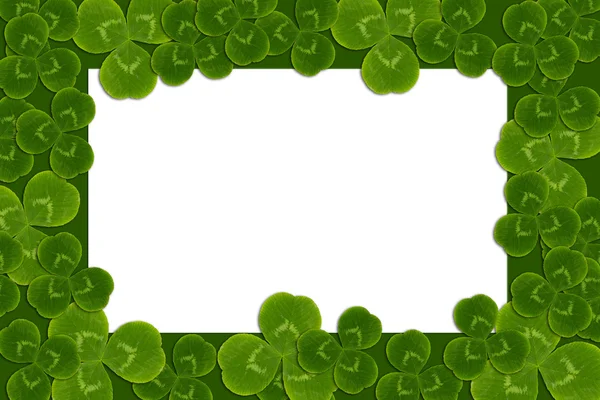 Frame laat clover klaverbladknoop shamrock patroon — Stockfoto