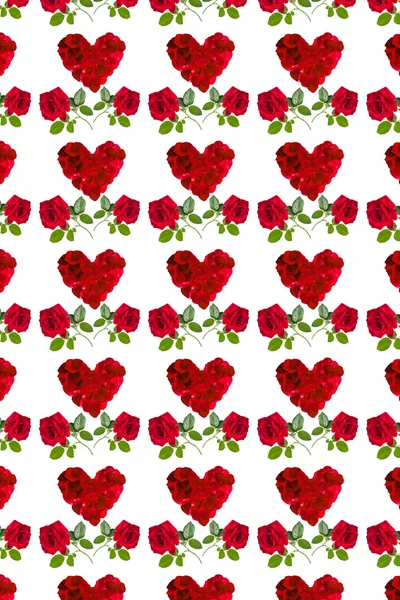 Muster schöne rote Herzrosenblätter und rote Rose — Stockfoto